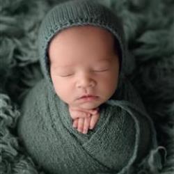 Kimberly Burleson Newborn Photographer - profile picture