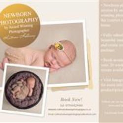 Katrina Holloway Newborn Photographer - profile picture