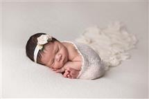 Shailee Connolly newborn photography
