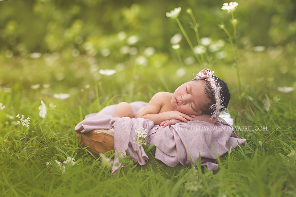 newborn photography community critique photo submitted by April Humphrey - 3 community members set this photo as a favourite image.