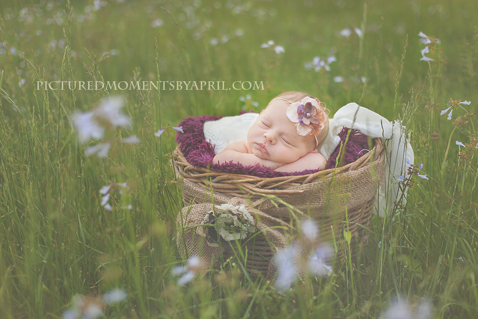 newborn photography community critique photo submitted by April Humphrey - 5 community members set this photo as a favourite image.