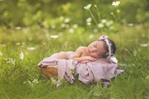 April Humphrey newborn photography