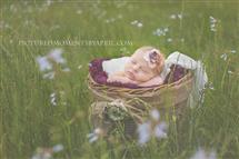 April Humphrey newborn photography