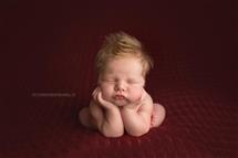 April Humphrey newborn photography