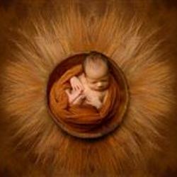 Nicole Klein Newborn Photographer - profile picture