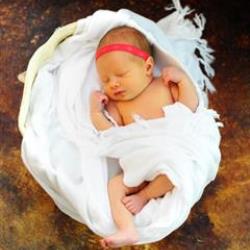 Erin Taylor Newborn Photographer - profile picture