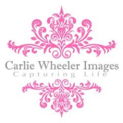 Carlie Wheeler Newborn Photographer - profile picture