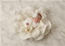Jasmin Rupp newborn photography