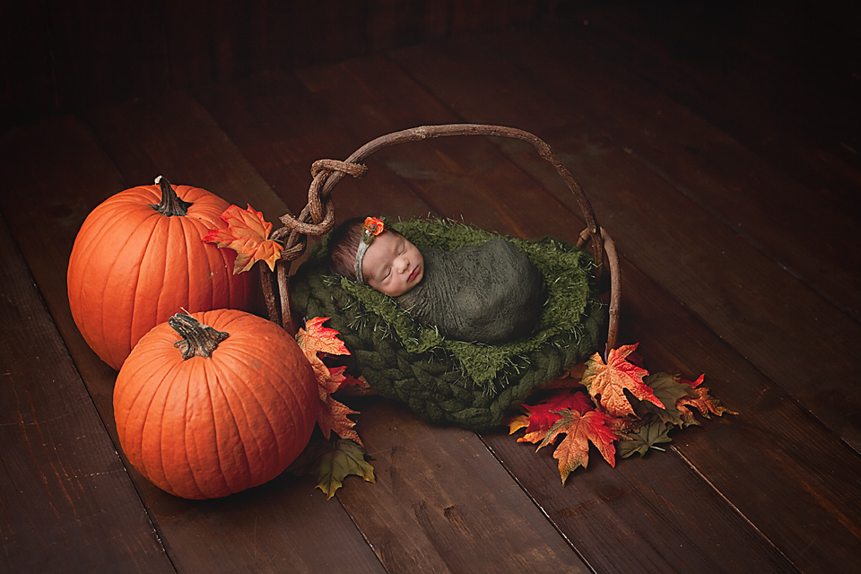 newborn photography community critique photo submitted by Shannon Morton - 2 community members set this photo as a favourite image.