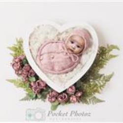 Nelida Valentin Newborn Photographer - profile picture