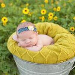 laura davis Newborn Photographer - profile picture