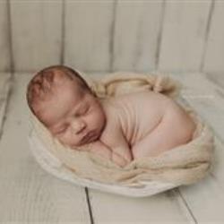 Vimi Sunkara Newborn Photographer - profile picture