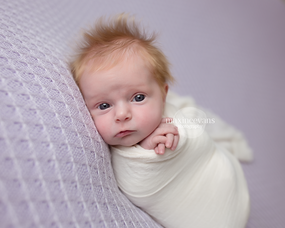 newborn photography community critique photo submitted by Maxine Evans - 3 community members set this photo as a favourite image.