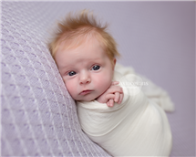 Maxine Evans newborn photography