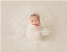 Maxine Evans newborn photography