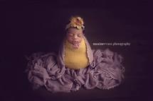 Maxine Evans newborn photography