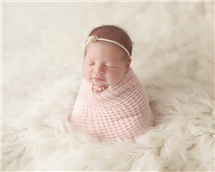 Maxine Evans newborn photography