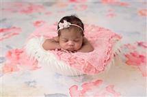 Maxine Evans newborn photography