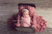 Maxine Evans newborn photography