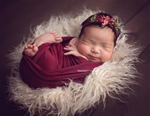 Maxine Evans newborn photography