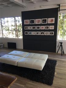 Maxine Evans newborn photography