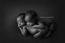 Maxine Evans newborn photography