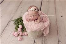 Maxine Evans newborn photography