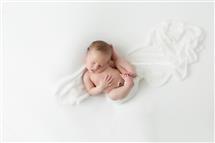 Maxine Evans newborn photography