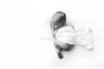 Bethney Backhaus newborn photography