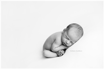 Bethney Backhaus newborn photography