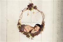 Angela McLaughlin newborn photography