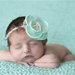 Lauren Mallard Newborn Photographer - profile picture