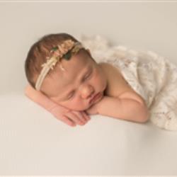 Nicole Locicero Newborn Photographer - profile picture