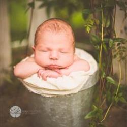 KiKi Lamm Newborn Photographer - profile picture