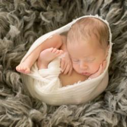 Candy Hoehn Newborn Photographer - profile picture