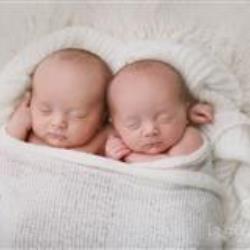 LINDSEY VANTIEM Newborn Photographer - profile picture
