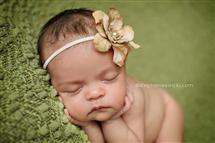 Stephanie Smith newborn photography