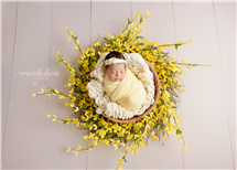 Amanda Dams newborn photography