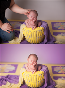 Amy Guenther newborn photography