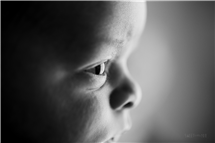 Amy Guenther newborn photography