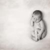 newborn photographer Melissa Gomes