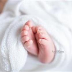 Jenny Xu Newborn Photographer - profile picture