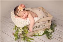 Amanda Berrelez newborn photography