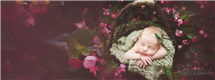 Jaiden Photography newborn photography