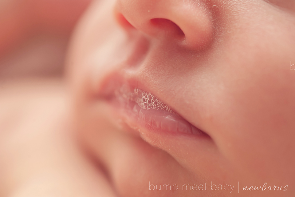 newborn photography community critique photo submitted by Tamara Hart - 2 community members set this photo as a favourite image.