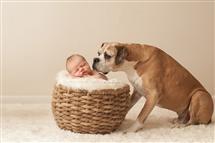 Tamara Hart newborn photography