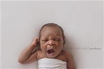 Tamara Hart newborn photography