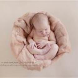 Ana Amorim Newborn Photographer - profile picture