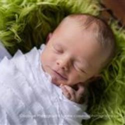 Terri Cassesse Newborn Photographer - profile picture