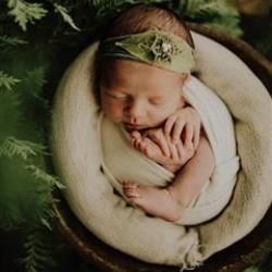 Kara Payton Newborn Photographer - profile picture